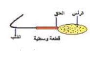 الشكل