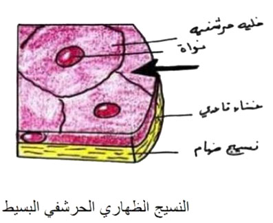 مثال