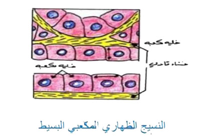 مثال