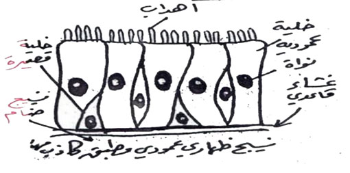 مثال