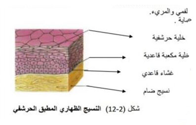مثال