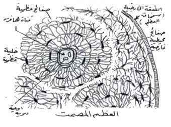 مثال