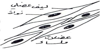 مثال