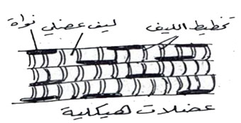مثال