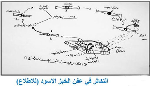 مثال