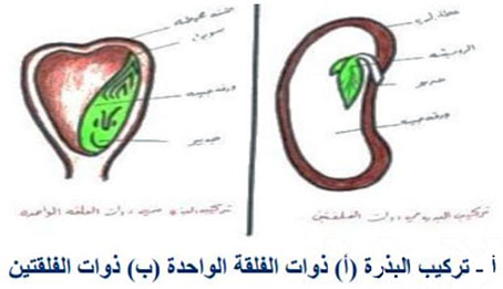 مثال
