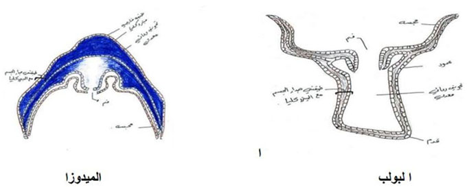 مثال