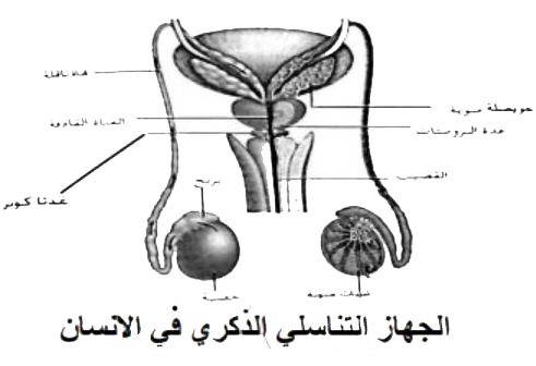 مثال