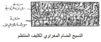 مثال