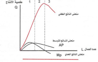 منحنى بياني