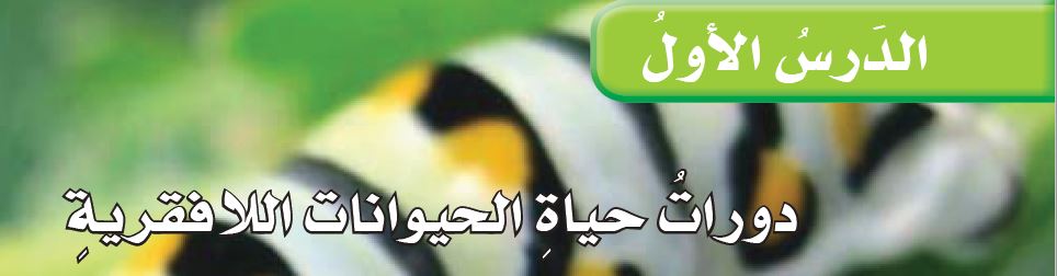 الدرس الأول: دورات حياة الحيوانات اللافقرية