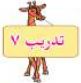 تدريب 7
