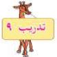 تدريب 9